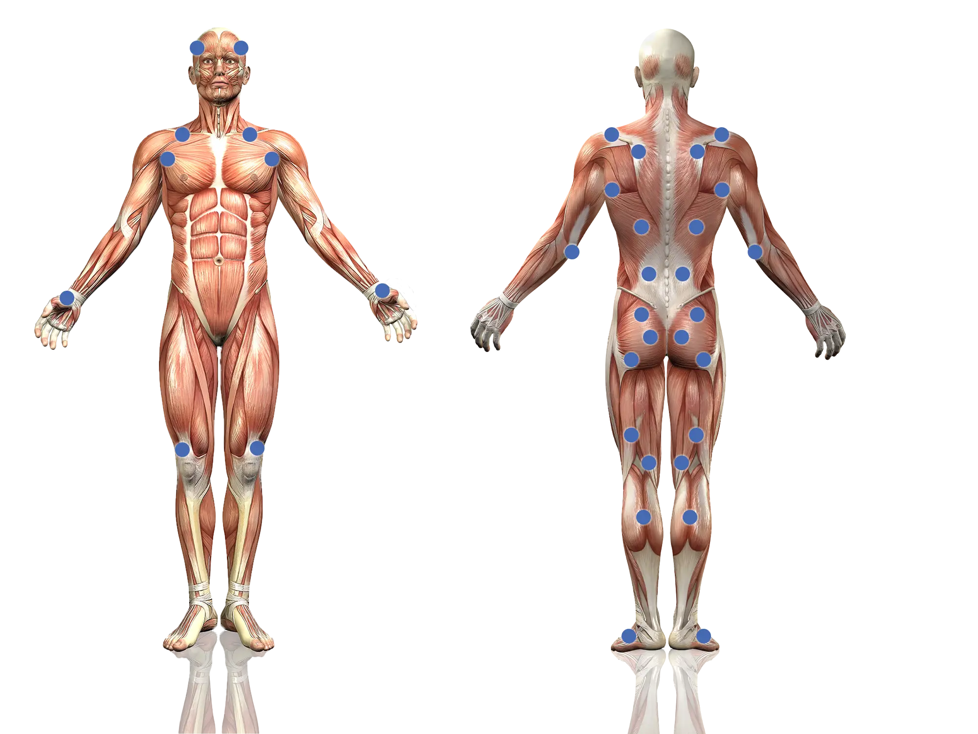 Les points de pression de la méthode Knap